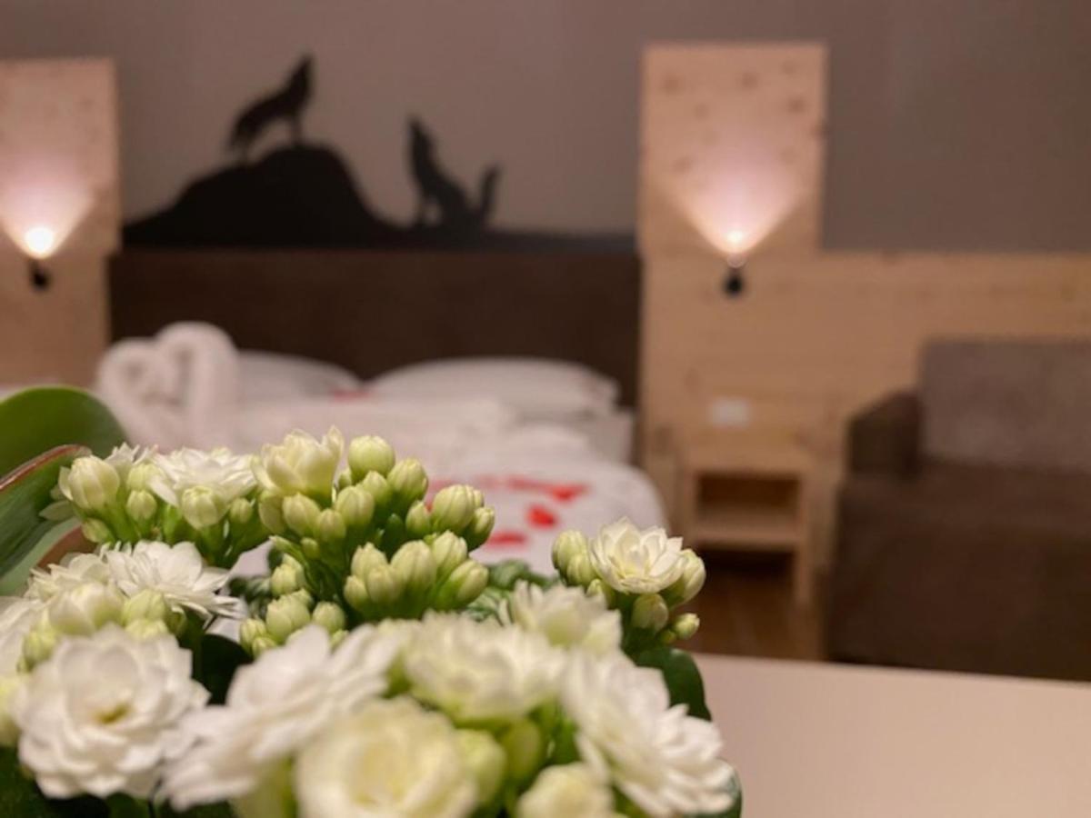 Chalet Torcel Affittacamere San Lorenzo Dorsino Dış mekan fotoğraf
