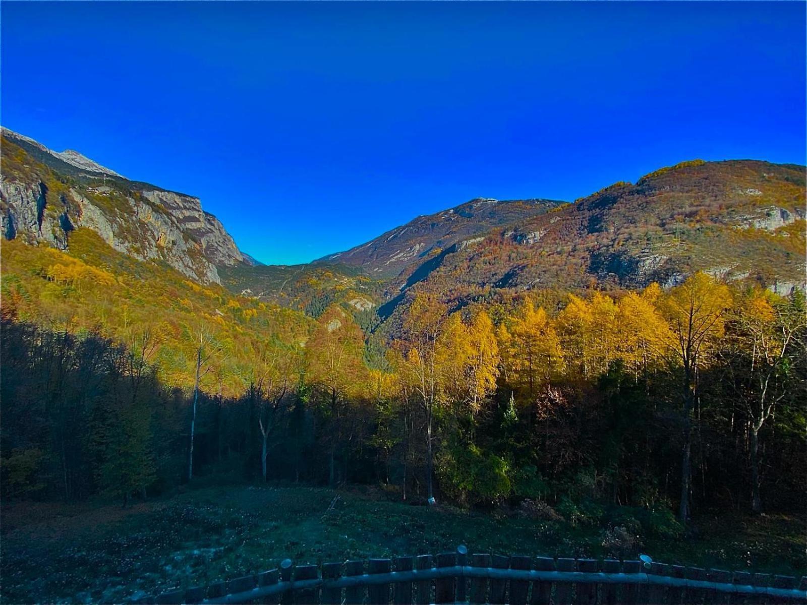 Chalet Torcel Affittacamere San Lorenzo Dorsino Dış mekan fotoğraf